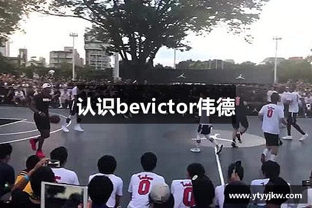 认识bevictor伟德